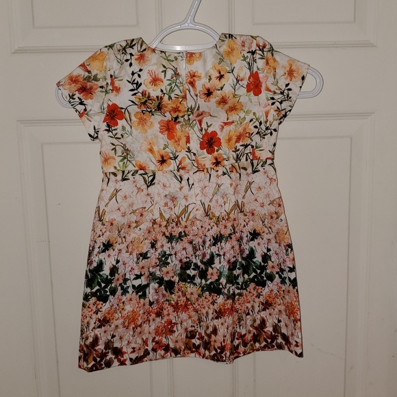 Zara Girl dress - Picture 2 of 4